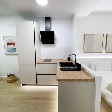 Loft Carlos Iii L1a